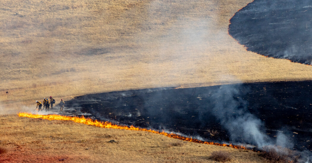 Grass and Shrub Fires More Destructive Than Forest Fires in U.S.